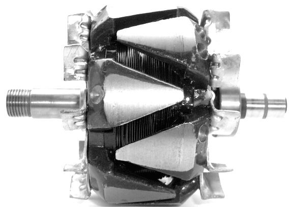 Rotor alternator A/1169