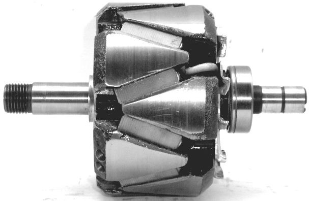 Rotor alternator A/1188