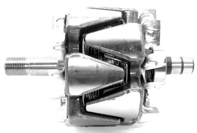 Rotor alternator A/231