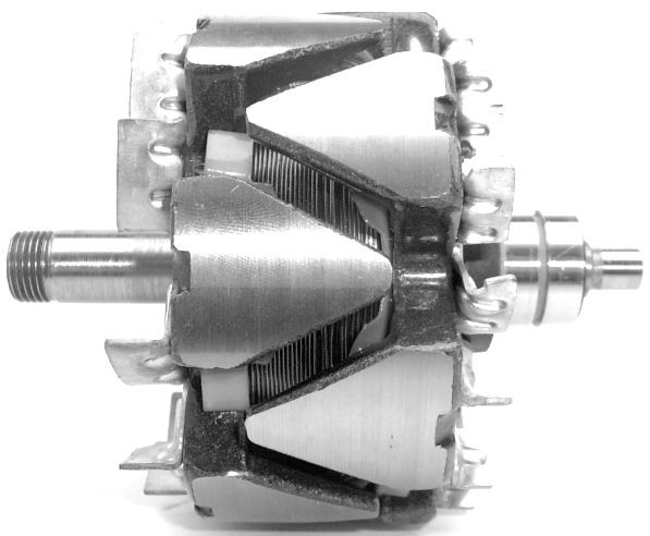 Rotor alternator A/426