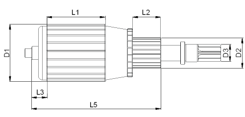 Rotoare electromotoare SA2002 indotto3.png