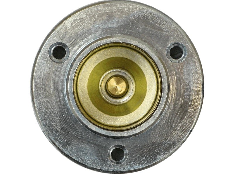 Electromotor/Bobina de cuplare BOSCH 2339303422(1).jpg