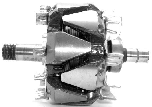 Rotor alternator A/1168